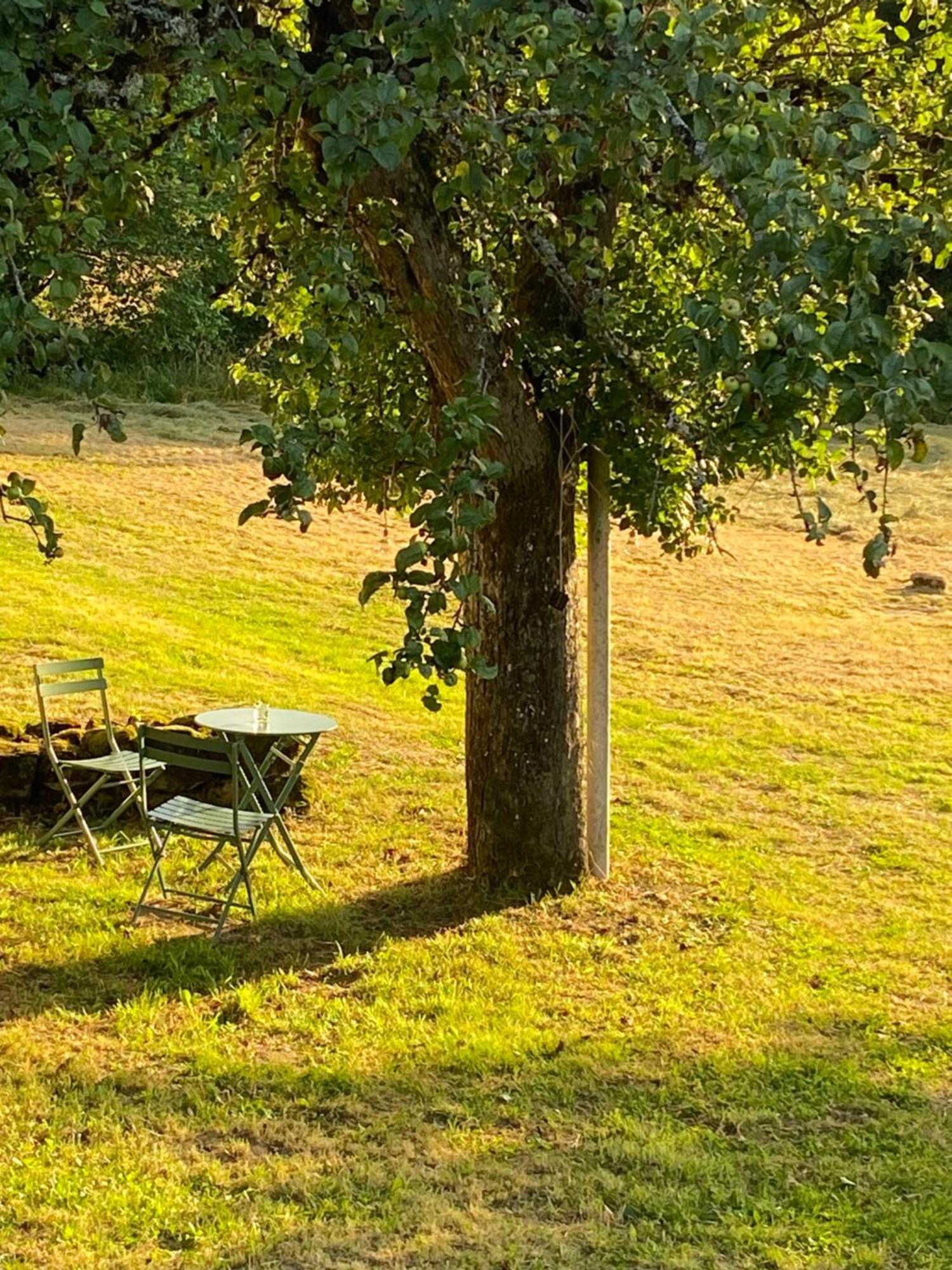 Une Pause En Correze Sarroux Exteriér fotografie